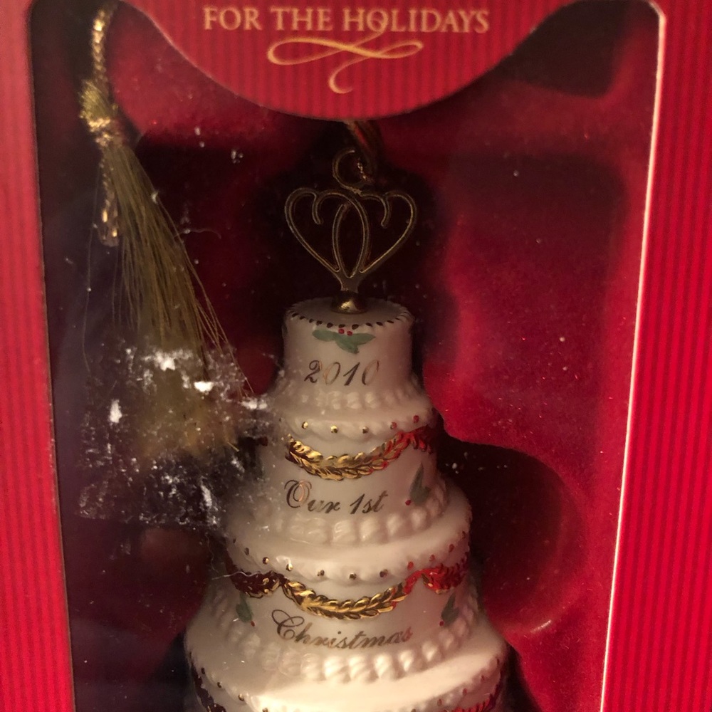 Christmas Ornament 2010